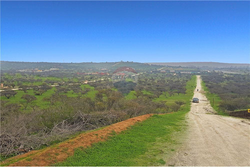 Sector Los Laureles - Terreno En Limache 5000 Mt