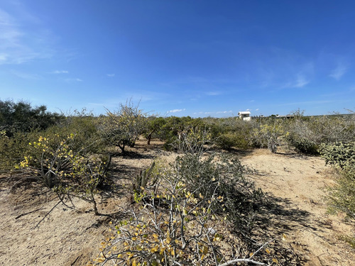 Block 10 Zacatitos, Lot 11