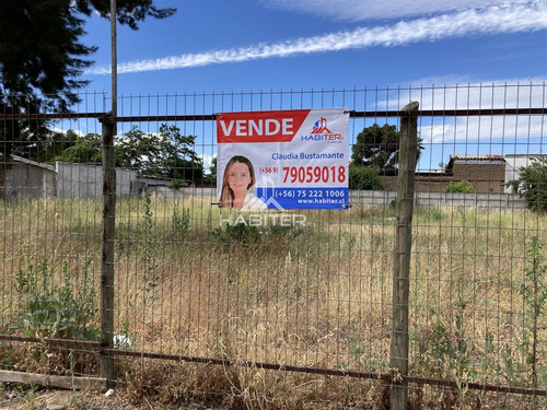 Sitio Con Ubicación Privilegiada En Molina