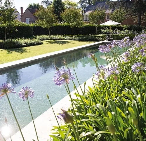 Paisajismo Y Jardinería