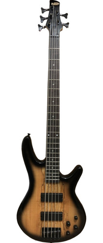 Bajo Electrico Ibanez Gio Gsr205sm-ngt 5 Cuerdas Sombreado