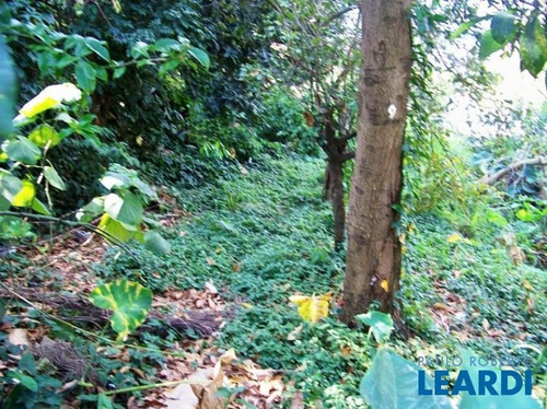 Imagem 5 de 5 de Terreno - Real Parque - Sp - 319532