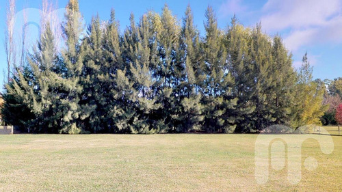 Imagen 18 de 19 de Venta Casa- Campos De Roca