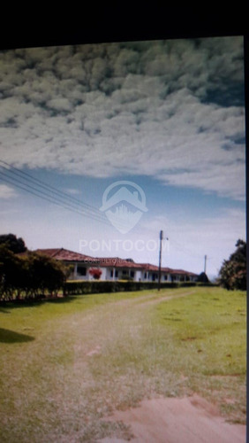 Imagem 4 de 23 de Excelente Fazenda - Martinópolis - 3841131v