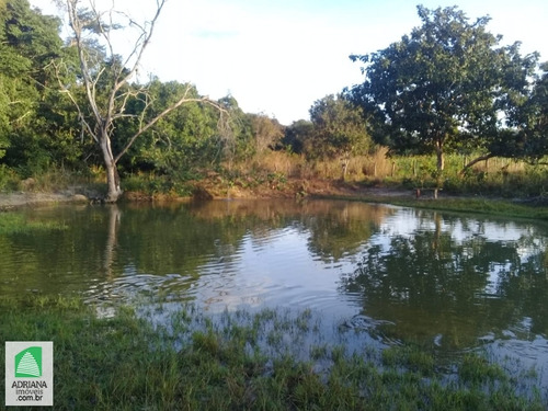 Imagem 7 de 14 de Venda Fazenda Formada Com 22 Alqueires Riacho 3 Represas Minicipio Niquelandia /go - 6145