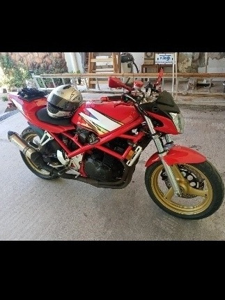 Imagen 6 de 11 de Suzuki Bandit