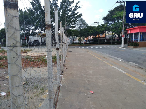 Imagem 6 de 8 de Excelente Terreno Plano - Te1282