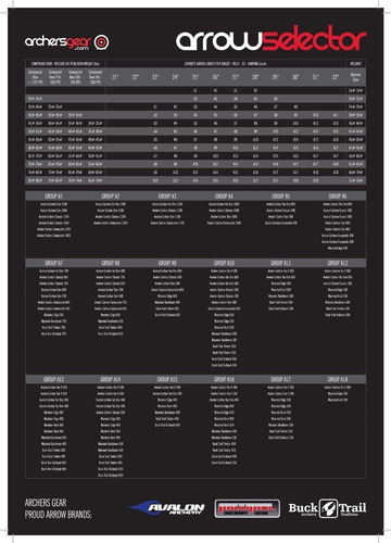 Imagen 2 de 3 de Flechas De Carbono Avalon Classic / Tyro Completas X 6 Un