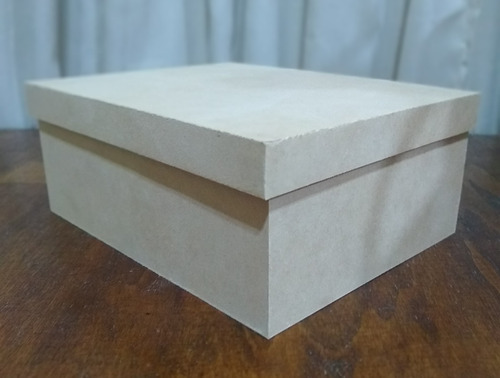 Caja Fibrofacil 25x20x10 Con Tapa Tipo Zapato X 10 Un. 