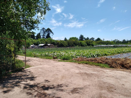 Imagen 5 de 7 de Terreno - Kilometro 45