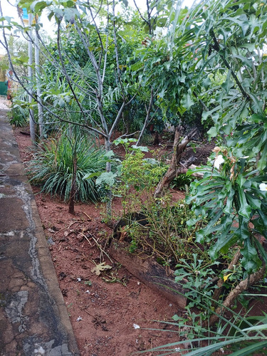 Casa Com 3 Quartos 3 Banheiros 