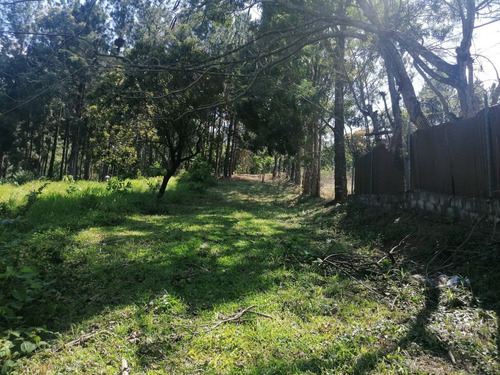 Venta De Terreno Bonao Los Mogote