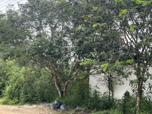 Terreno En Venta A Una Cuadra Del Periférico Norte Merida Yucatan