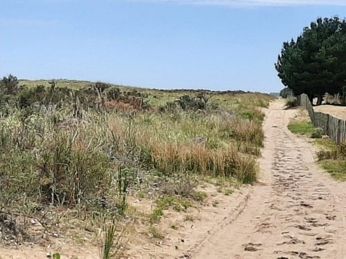 Imagen 5 de 12 de Terrenos De 4,5 Hectareas Cerca Del Mar Zona Mar Azul