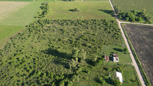 Imagen 15 de 20 de Campo - Colón