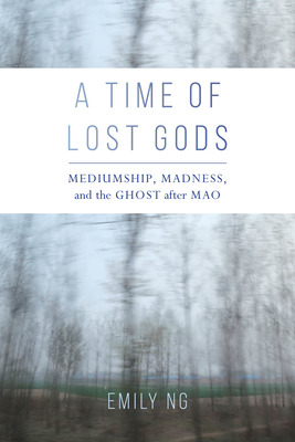 Libro A Time Of Lost Gods: Mediumship, Madness, And The G...