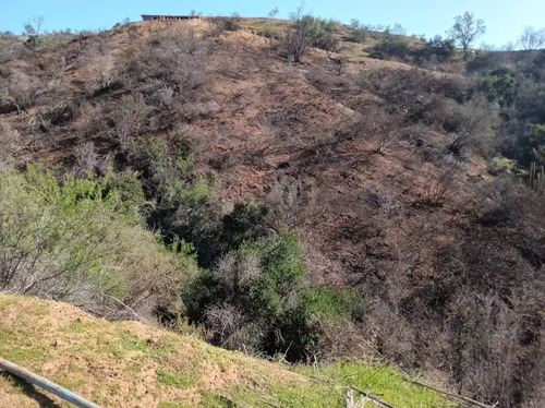 23 Hectáreas En La Tranquila Quebrada Escobares