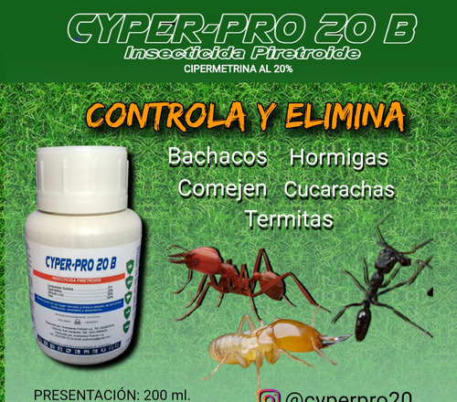 Control De Chiripas Cucarachas Comejen
