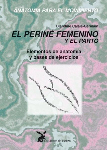 El Periné Femenino Y El Parto. Elementos De Anatomía Y Bases