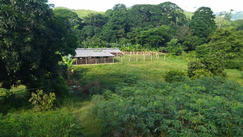 Finca En Venta Ubicada En Canoabo Edo Carabobo