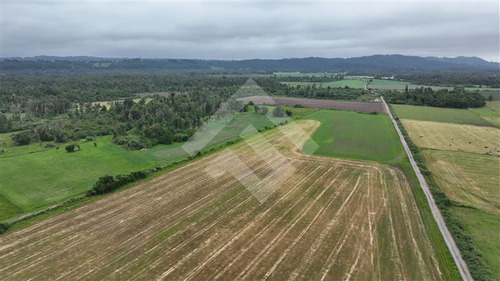 Agrícola En Venta En Lago Ranco La Unión