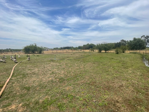 Vende Parcela Con Casa Y Mucho Mas, Region Maule