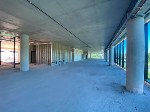 Imagen 4 de 9 de Oficinas En Alquiler | Wo Leaf Building | 194 M²