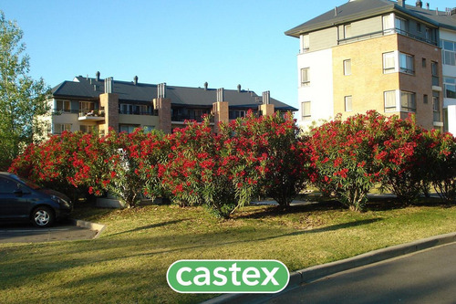 Imagen 28 de 30 de Departamento 2 Ambientes En Venta En Chateau Del Palmar, Nordelta