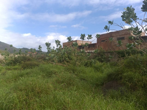 Imagen 3 de 12 de Amplio Terreno Vía Guacuco Con Sus Servicios. Tapiado Y Con Proyecto 22-19040