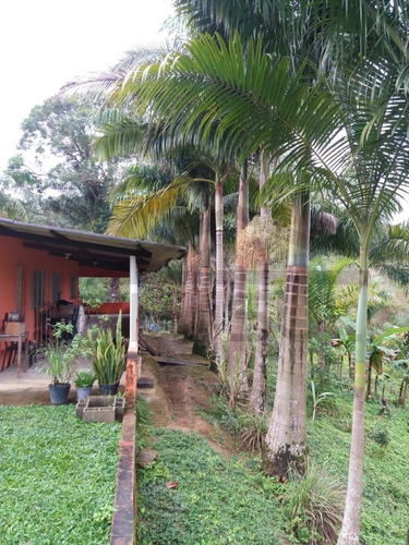 Imagem 5 de 19 de Sítio À Venda Em Juquiá - Sp - 314 - 70534868