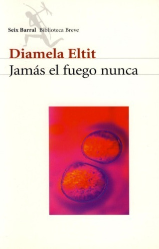 Jamás El Fuego Nunca / Diamela Eltit