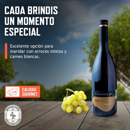 Vino Blanco Español Roc De Foc 750ml Clos Pons Pack X6