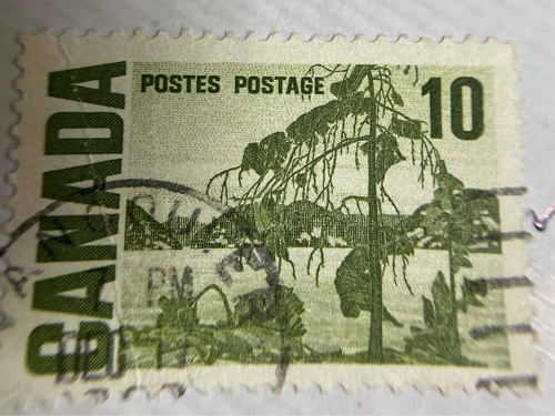 Sello Postal Cánada 1967 El Pino De Jack