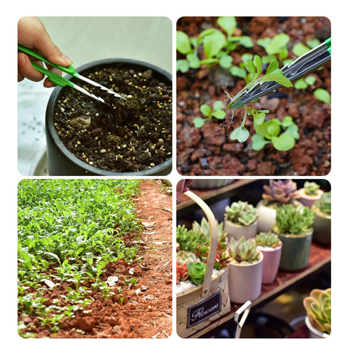 Y Suculentas Pinzas Herramientas Bonsai Tool Pinzas De Punta
