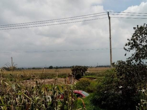 Imagen 8 de 10 de Se Vende Terreno En Calimaya, Estado De México