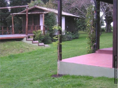 Imagen 4 de 9 de Venta Quinta/granja En La Gloria De La Peregrina