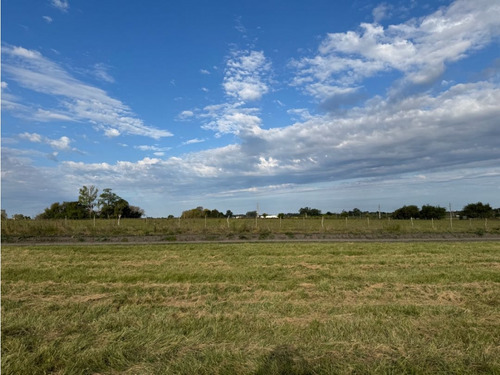 Vendo Terreno De 342 M2 En Caseros, Entre Ríos.
