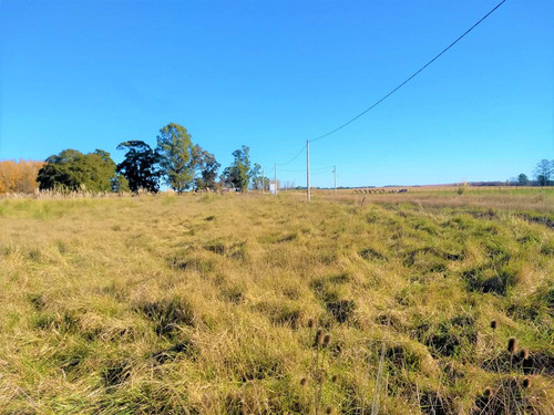 Imagen 12 de 16 de Venta Terreno Gardey Tandil Divisible En Ph 25x35