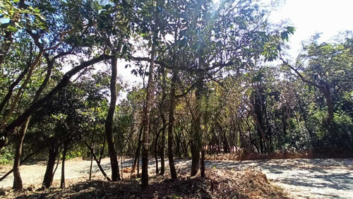 Imagem 5 de 9 de Lotes Em Condomínio Para Comprar No Condomínio Aldeia Da Cachoeira Das Pedras Em Brumadinho/mg - 1959