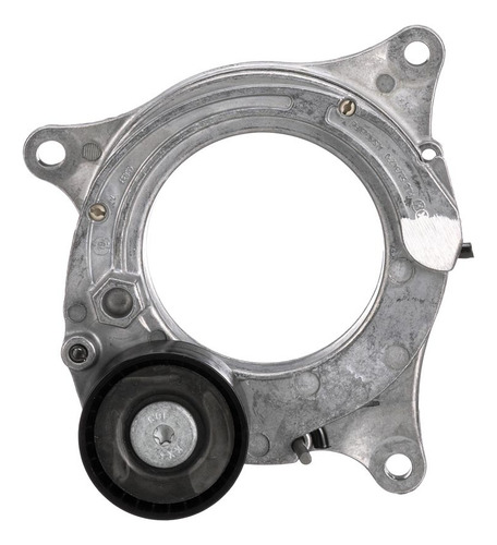 Tensor Distribucion Bmw 2401 3.0l 2018 2019 2020 2021