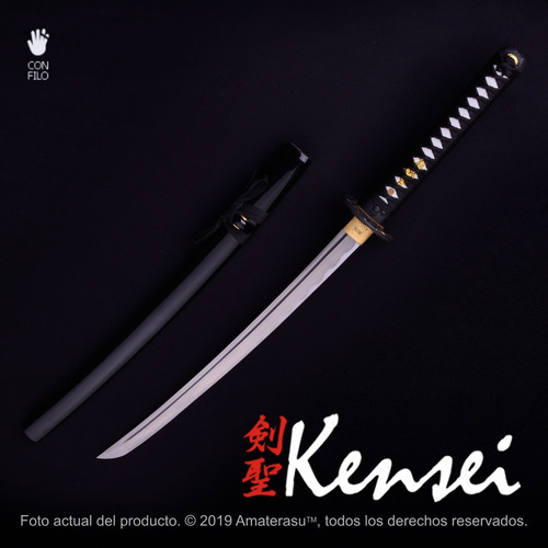 Imagen 2 de 9 de Katana Wakizashi Kensei Aohige Full Tang Filo Extremo