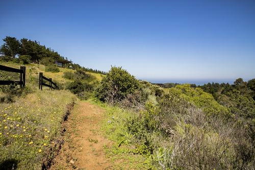 Reserva Natural En Punta De Lobos