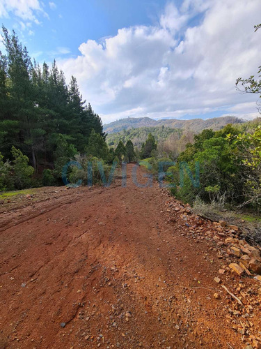 Tranquila Parcela 0,5ha Tranquilidad (92297)