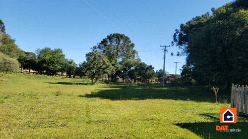 Imagem 8 de 8 de Chácara À Venda Em Ipiranga Para Plantio - 1179
