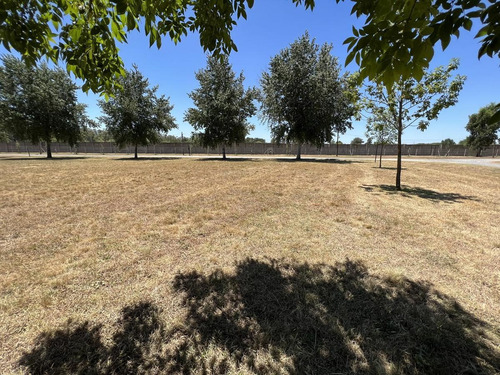 Imagen 8 de 30 de Terreno - Fincas De San Vicente
