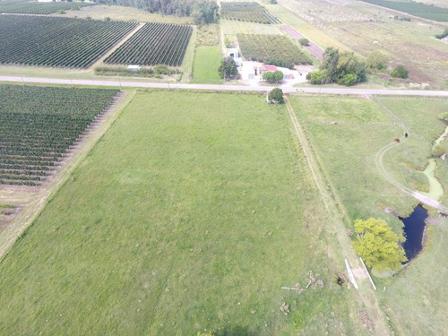 Exte. Chacra 6hás 4800m2 En Las Violetas