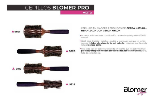 Cepillos Blomer (9818)