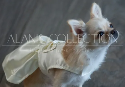 Vestido Hermoso Para Perrita Chihuahua O Razas Peque as