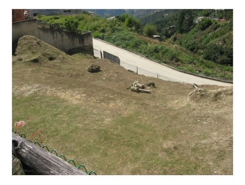 Imagen 4 de 6 de Vendo Terreno 600m2 Oripoto 6229