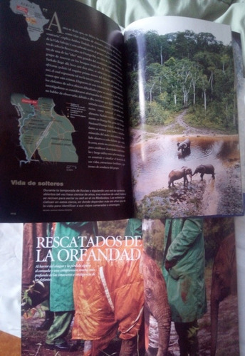 Imagen 8 de 8 de Revistas National Geografic